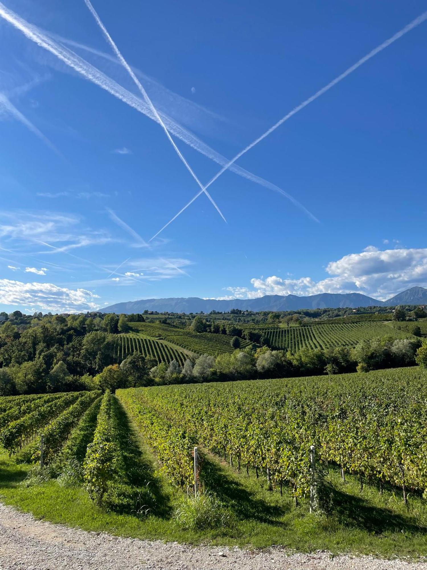 Tenuta Malvolti - Al Vecchio Convento San Fior di Sopra Экстерьер фото